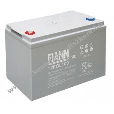 lom Akkumultor 12V 100Ah (FIAMM) tpus 12FGL100