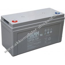 lom Akkumultor 12V 120Ah (FIAMM) tpus 12FGL120