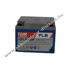 lom Akkumultor 12V 26Ah (FIAMM) tpus 12FLB100P