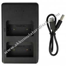 Helyettest Dual USB akkumultor tlt  Palfinger 590, 790 2db Akkumultor tltsre