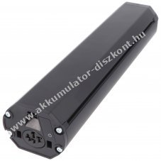 PowerPack 36V 12,8Ah 461Wh Bosch Active Plus Performance CX horizontal 36,1cm