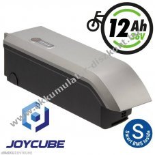 Phylion Joycube SF-06 JCEB360-11.6 36V 11,6Ah E-Bike Akkumul�tor Li-Ion