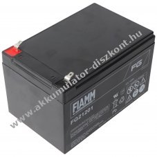 Fiamm FG21201 VdS G116015 12V 12Ah Akkumul�tor AGM �lom-zsel�s