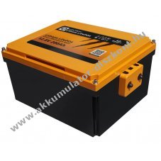 LIONTRON LiFePO4 Akkumul�tormul�tor 12,8V 200Ah Smart BMS