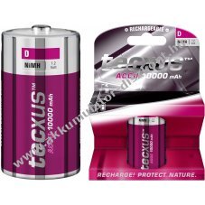 Tecxus D (Mono) NiMH Akkumul�tormul�tor 1,2V 10000mAh 1db/csomag