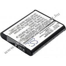 Helyettes�t� kamera Akkumul�tor Panasonic WA20 VW-VBX090 770mAh 2.85Wh