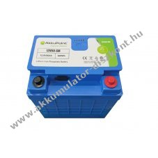Helyettes�t� Akkumul�tor Akkupoint AP12V50-SM 12,8V 50Ah LiFePO4