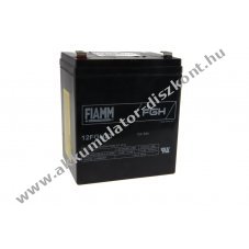 FIAMM 12FGH23 (FGH20502) 12V 5Ah Akkumul�tor �lom