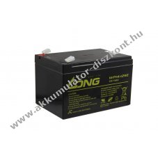 LONG WP14-12SE 12V 14000mAh 6,3mm Faston 151x98x100mm 4,4kg Akkumul�tor �lom-savas