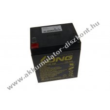 LONG WP5-12 Akkumul�tor 12V 5000mAh �lom-sav
