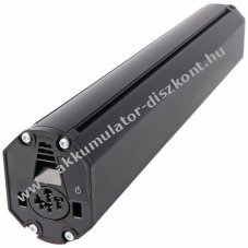 E-Bike-Vision PowerPack Bosch Active Plus Performance CX Intube 41,6cm 36V 640Wh 10ICR19/66-6
