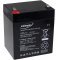 Powery lom zsels Akkumultor APC Back-UPS BF500-GR 12V 5Ah