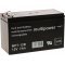 Pótakku (multipower) szünetmenteshez APC Power Saving Back-UPS Pro BR550GI 12V 7Ah (7,2Ah is) Pótakku (multipower) szünetmenteshez APC Power Saving Back-UPS Pro BR550GI 12V 7Ah (7,2Ah is)