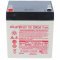 Hawker Enersys DataSafe NPX25-12 12V 5Ah AGM �lom Akkumul�tor