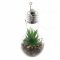 Ez solar Mayla LED dekor�ci�s izz� melegfeh�r 2700K-3200K id�z�t�vel akaszt�horoggal 2db CR2032