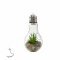 Ez solar LED dekor�ci�s izz� DARIA melegfeh�r 2700K-3200K id�z�t�vel 1db/csomag 2db CR2032