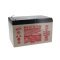 Enersys Genesis NP12-12T VdS G106042 12V 12000mAh Akkumul�tor �lomsavas