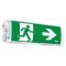 TAURAC Tokyo LED v�szkijelz� 4W 3h B1D14601 �tl�tsz� fal- �s mennyezeti IP65 tesztgomb