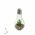 Ez solar LED dekor�ci�s izz� DARIA melegfeh�r 2700K-3200K id�z�t�vel 1db/csomag 2db CR2032