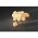 Konstsmide LED dekor�ci�s f�nyf�z�r 16 LED melegfeh�r 3151-103 kos�rfonat g�mb�k