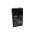 FIAMM FG10381 Akkumul�tor 6V 3800mAh �lomsavas