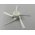 Oldals� kefe Dreame W10/W10 Pro porsz�v�hoz