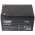 Fiamm FG21201 VdS G116015 12V 12Ah Akkumul�tor AGM �lom-zsel�s