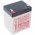Hawker Enersys DataSafe NPX25-12 12V 5Ah AGM �lom Akkumul�tor