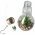 Ez solar LED dekor�ci�s izz� DARIA melegfeh�r 2700K-3200K id�z�t�vel 1db/csomag 2db CR2032