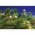 EGB Micro LED f�nyf�z�r 20LED melegfeh�r id�z�t� r�zsz�n� dr�t 3xAA