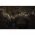 Micro LED f�nyf�z�r Cluster 360 LED melegfeh�r 3m vil�g�t� hossz 7m teljes hossz 4,5V IP44