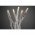 Konstsmide Micro LED f�nyf�z�r 50 LED 24V melegfeh�r �tl�tsz� k�bel 6353-123