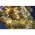 EGB LED mikro f�nyf�z�r 120 LED melegfeh�r 6m megvil�g�tott, 9m teljes, 12V IP44 t�pegys�ggel