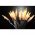 EGB LED f�nyf�z�r 100 LED �tl�tsz� vezet�k borosty�nsz�n� 19,8m 230V