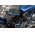 Ansmann BC 6-12V 6A aut�s elem t�lt� 10 fokozat IP65 LiFePO4, �lom
