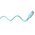 Goobay Silicone Cable Coral Crush 2db/csomag USB-C 1,5m 60W 3A t�rkiz,pink