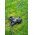 Goobay k�lt�ri 3x hosszabb�t�k�bel 5m 3x1,5mm2 Schuko dug� (Typ E/F, CEE 7/7) 3x Schuko aljzat