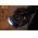 Varta dinams LED-es zseblmpa, elemlmpa tpus 17680101401