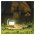 LED-es multifunkci�s kempingl�mpa, 215 lm,