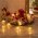 10 LED-es elemes fnyfzr ornament dszes idztvel meleg-fehr fnnyel 3000K - Kirusts!
