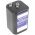 Camelion 4R25/4R25C 10110125 6,0V 9000mAh speci�lis elem