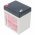 Hawker Enersys DataSafe NPX25-12 12V 5Ah AGM �lom Akkumul�tor