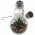 Ez solar LED dekor�ci�s izz� DARIA melegfeh�r 2700K-3200K id�z�t�vel 1db/csomag 2db CR2032