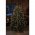 Konstsmide LED kar�csonyfa k�peny 180 LED borosty�nsz�n� 6377-890