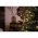 Konstsmide Micro LED bels� f�nyf�z�r matt 100 LED 30V 6,93m melegfeh�r 6344-120