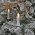 Konstsmide One String LED k�lt�ri f�nyf�z�r 25 LED borosty�n 1150-020