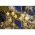 EGB LED mikro csillag f�nyf�z�r 200 LED 10 sz�l 12V IP44 melegfeh�r