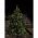 Konstsmide 1930-100 10db vezet�k n�lk�li LED gyertya 18cm t�vir�ny�t�val elemmel IP44 melegfeh�r