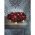 Konstsmide LED g�mb f�nyf�z�r 80LED melegfeh�r 24V t�pegys�ggel 6,32m fekete 3696-107