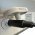 Segway Ninebot kompatibilis t�lt� 42V 1,7A 3802-503 fekete